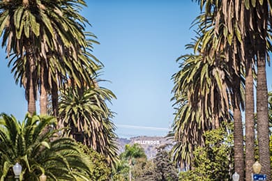 palm trees line a street leading towards the distant view of the hollywood sign, set against a clear blue sky. the iconic sign is situated on a hillside, surrounded by greenery.