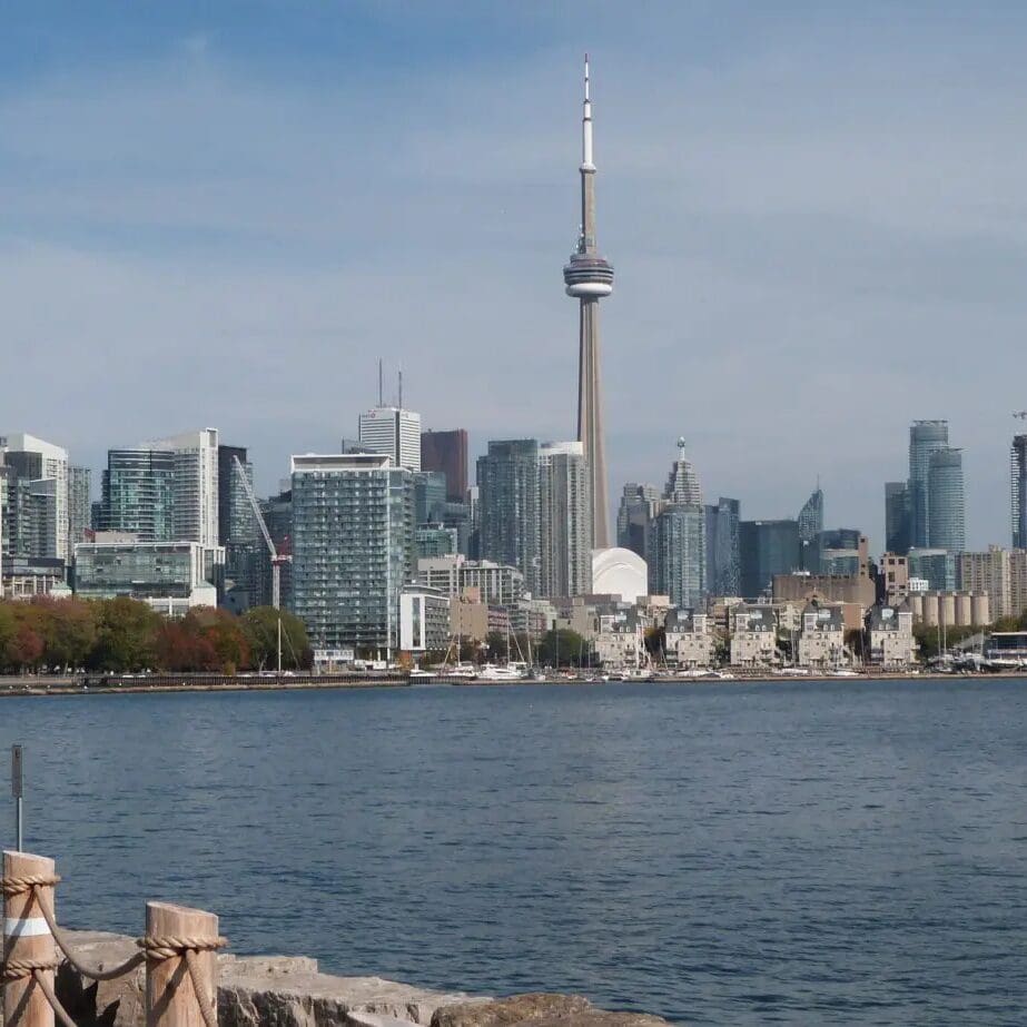 toronto skyline featuring the cn tower with a clear blue sky. the waterfront is calm, and modern buildings surround the iconic tower. trees along the shore are visible in the foreground.